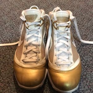 Lebron James NBA sneakers